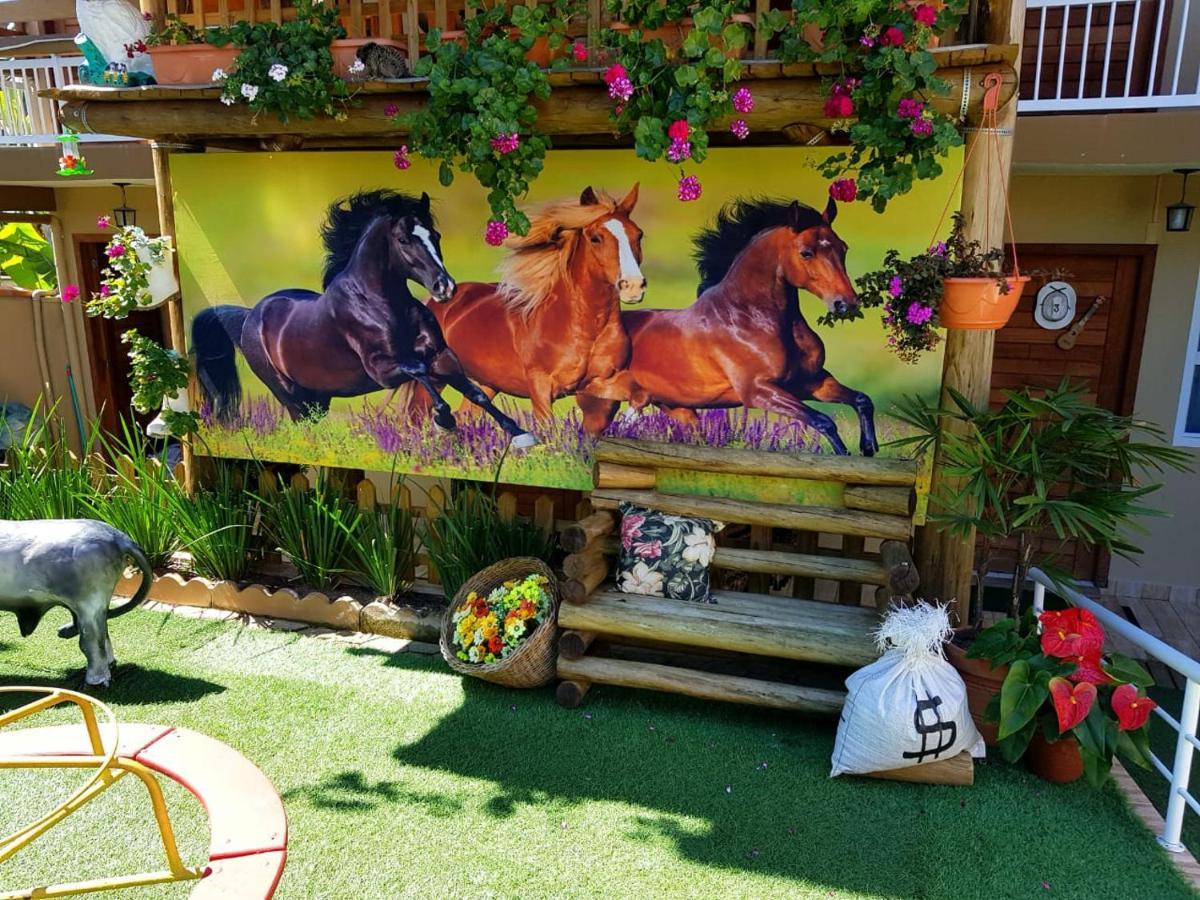 Pousada Alegria Do Cowboy Penha  Exterior foto